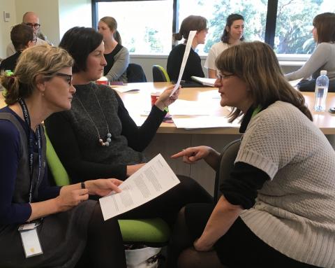 Professionals discussing views and ideas at the workshop